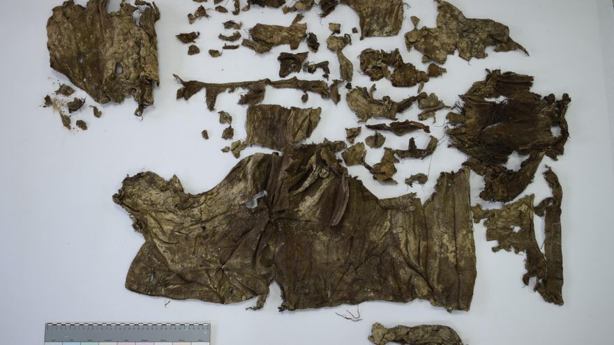 Foto inicial de los restos que se habían recuperado en el pozo de Los Alfredos, en Medina del Campo.