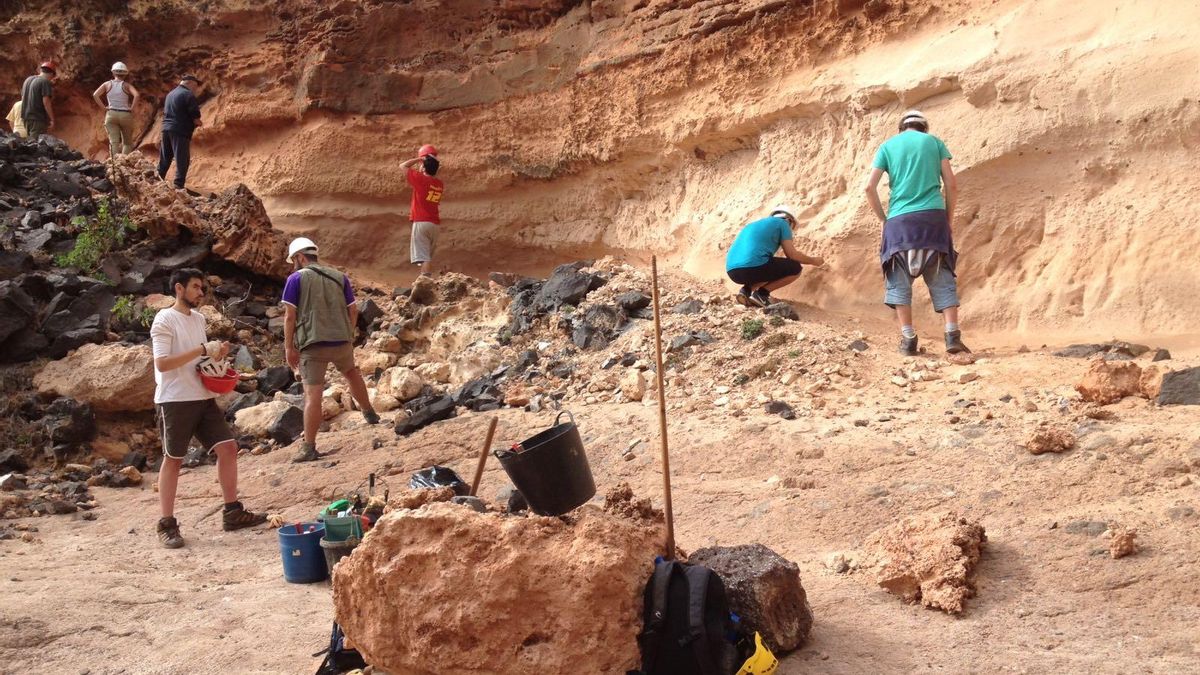 Los paleontólogos descartan que sean de avestruz los huevos fosilizados localizados en Lanzarote