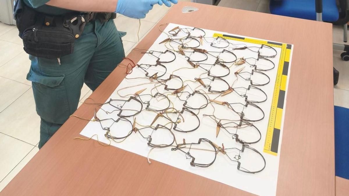 Investigan a un vecino de Villa del Río por usar trampas ilegales para cazar aves.