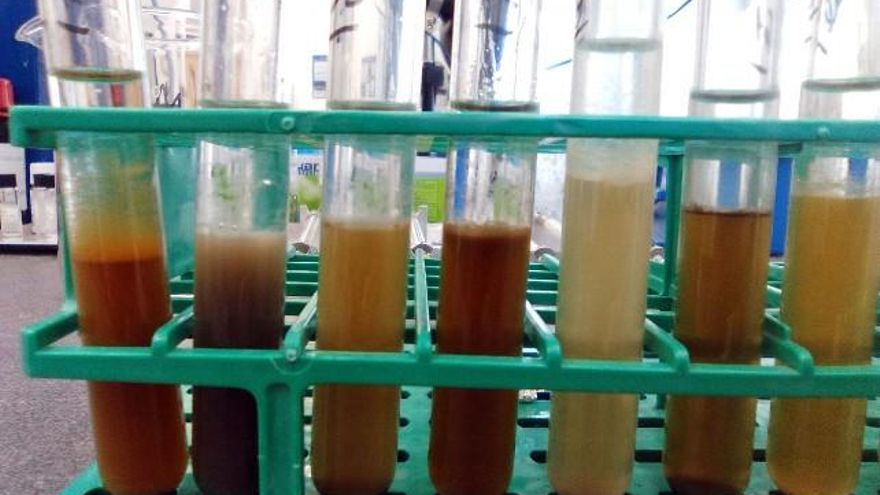 Muestras para la extracción de Residuos orgánicos de El Portalón en Atapuerca. // Marta Frances / ICAL