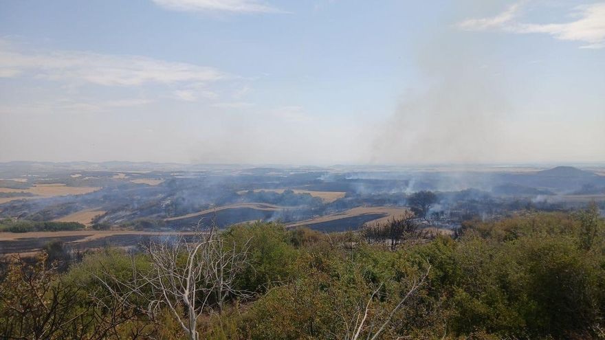 No faltan helicópteros; faltan gestores del monte: la otra cara de los incendios en Aragón