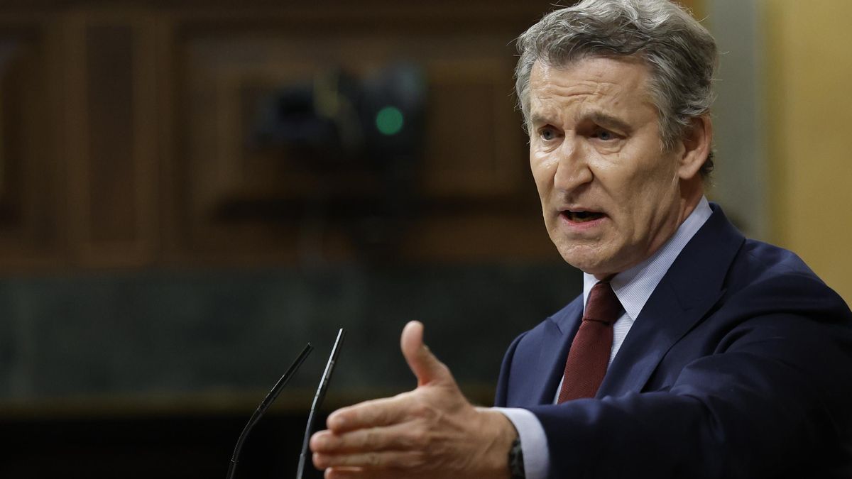 El líder del PP, Alberto Núñez Feijóo. EFE/ Mariscal