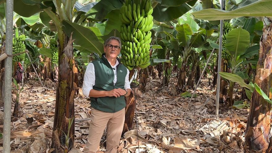 “El relevo generacional en el plátano traerá un cambio profundo y una gestión más eficiente”