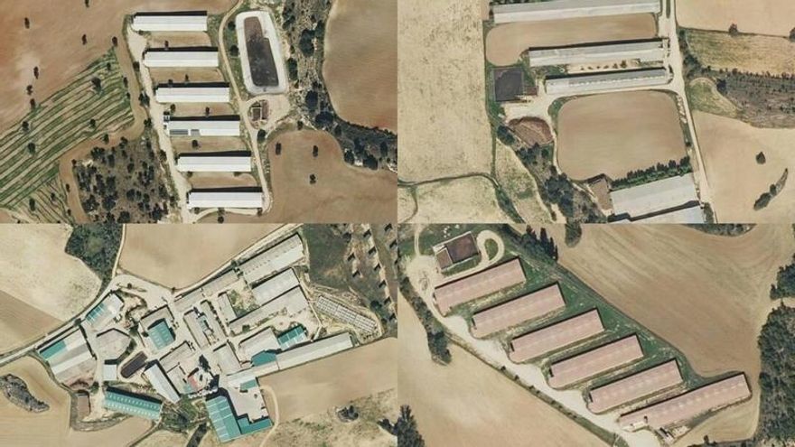 El Supremo "cierra el paso" a la autorización de una macrogranja en Cuenca al rechazar un recurso de la Junta