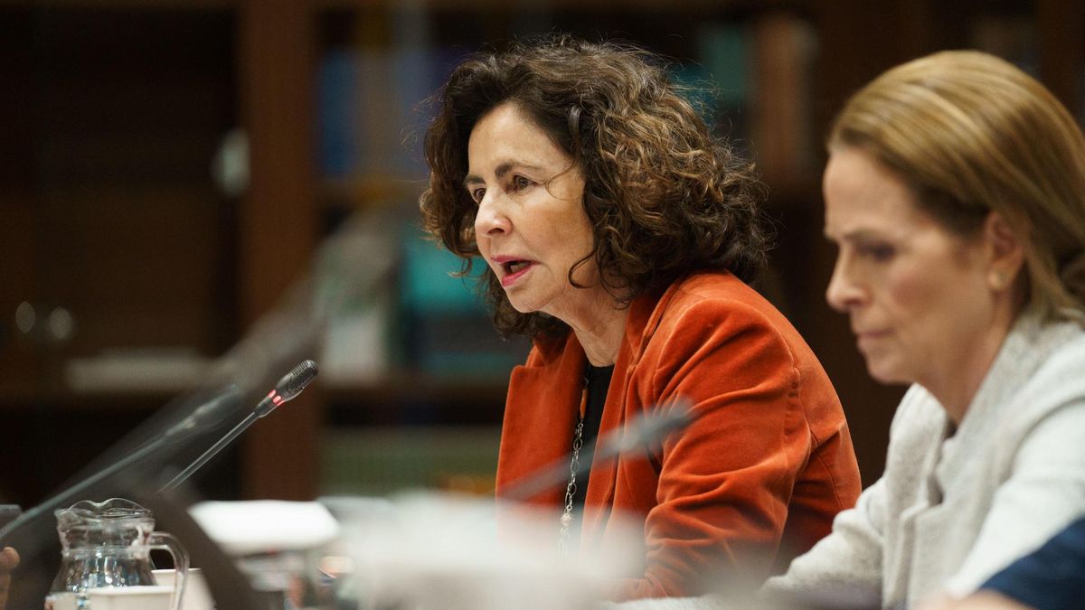 La consejera de Hacienda y Relaciones con la Unión Europea del Gobierno de Canarias, Matilde Asián, este miércoles en comisión parlamentaria.