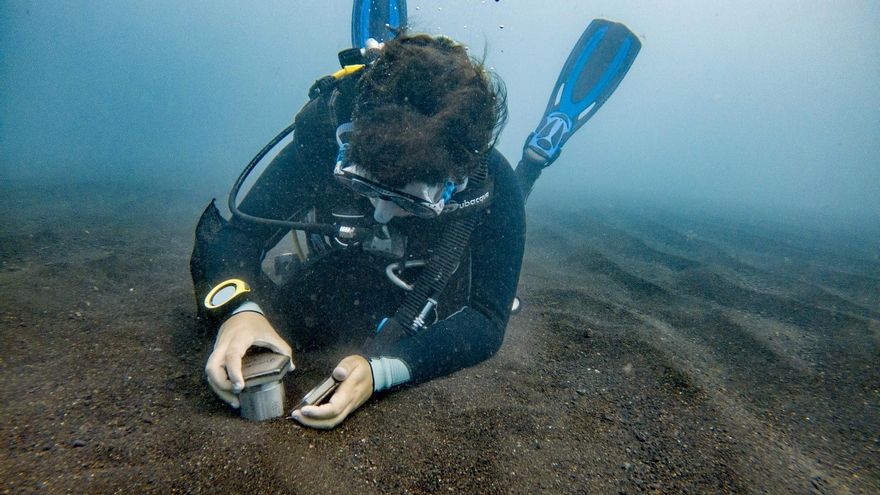 Toma de muestras en los fondos costeros de La Palma. (CEDIDA)