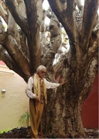 Dámaso y Drago de Gáldar