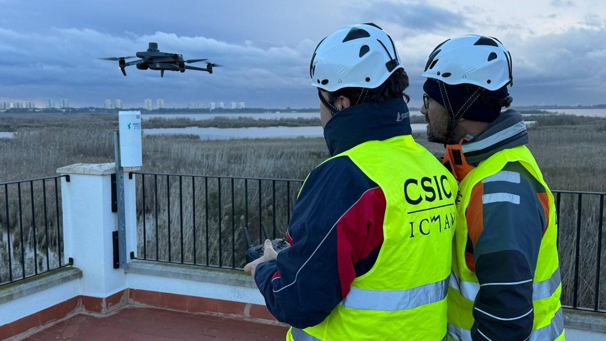 Dos científicos del CSIC vuelan un dron sobre l'Albufera.