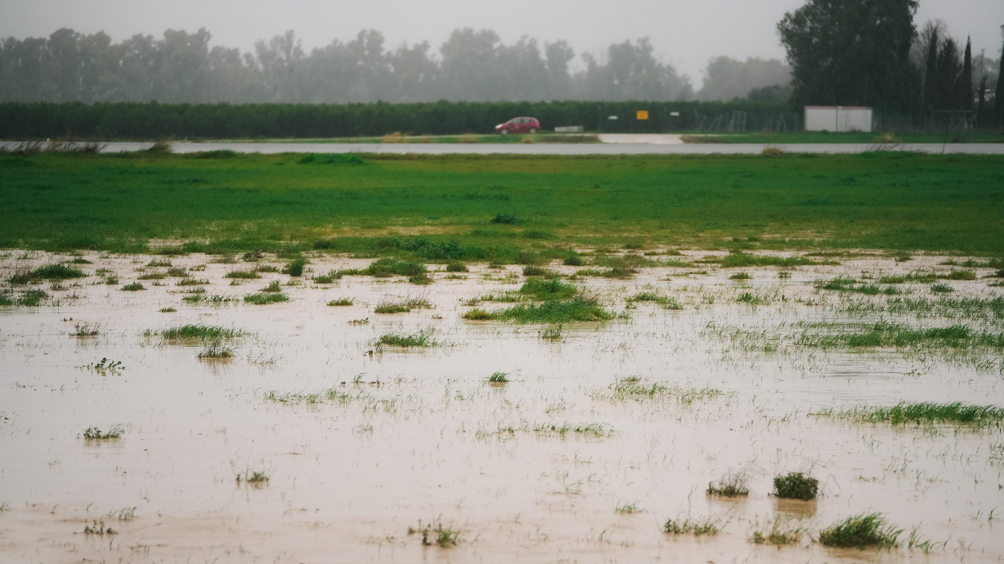 El lodo y el barro, dentro de las parcelas de las calles Perdiz y La Tórtola