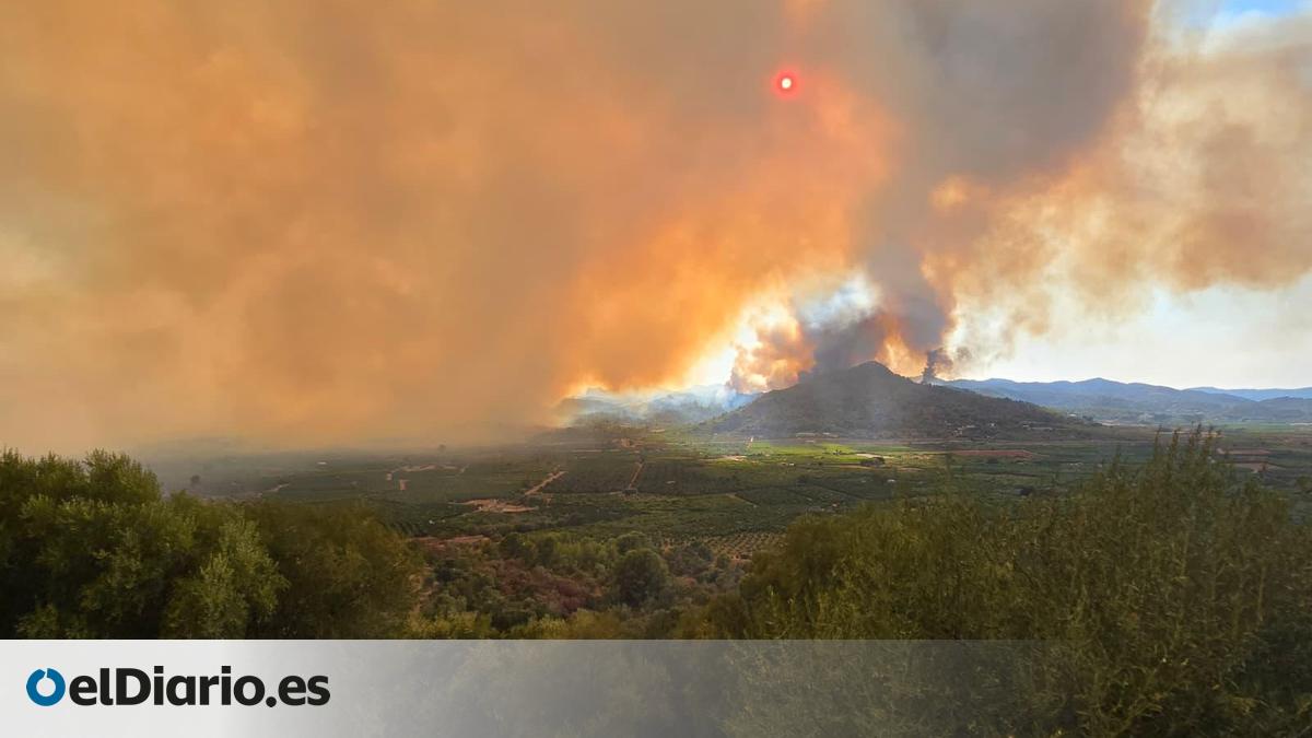El incendio de la Vall d Uixó arrasa 2.000 hectáreas de uno de los mayores bosques de producción de corcho natural