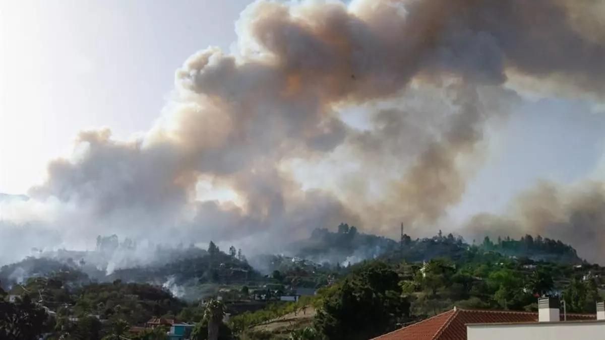 Transición Ecológica celebra en Puntagorda la Feria PICAs frente a incendios forestales