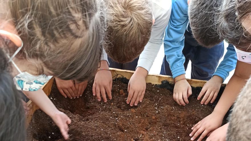 Impulsar el contacto y el respeto por la naturaleza es uno de los objetivos de la iniciativa