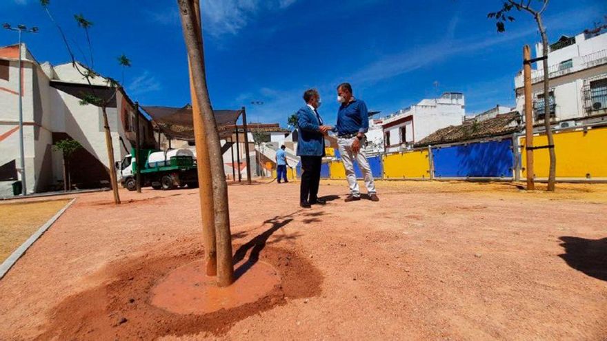 "Gracias por tu sombra y tragar CO2": la acción vecinal para reclamar más árboles contra el cambio climático