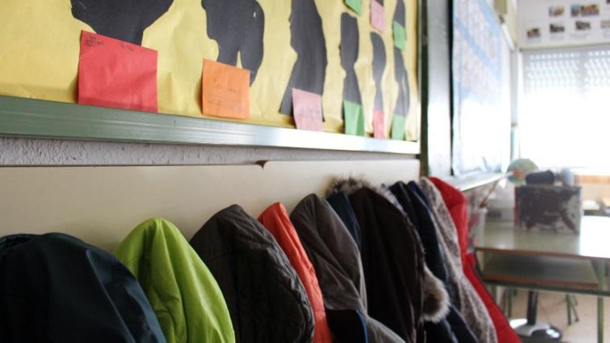 La ficción de un solo sistema de formación