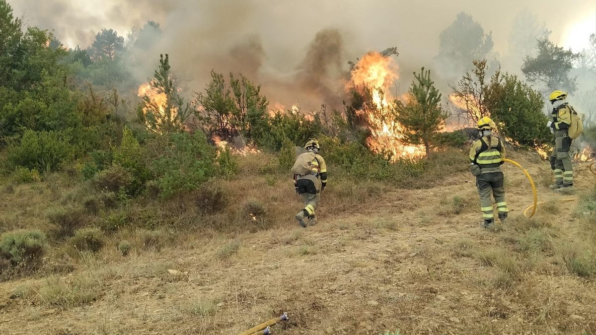 El Gobierno de Aragón pide a la jueza de Jaca prisión sin fianza para el trabajador investigado por el incendio de Riglos