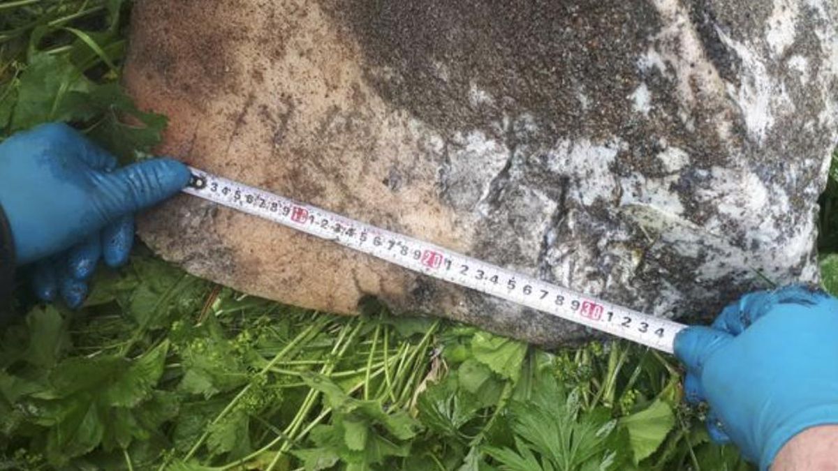 Un posible riesgo externo habría moldeado la organización familiar