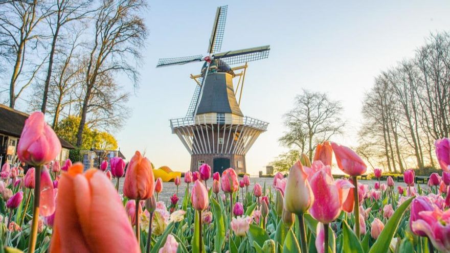 Guía para visitar Keukenhof, el espectacular parque de tulipanes de Ámsterdam