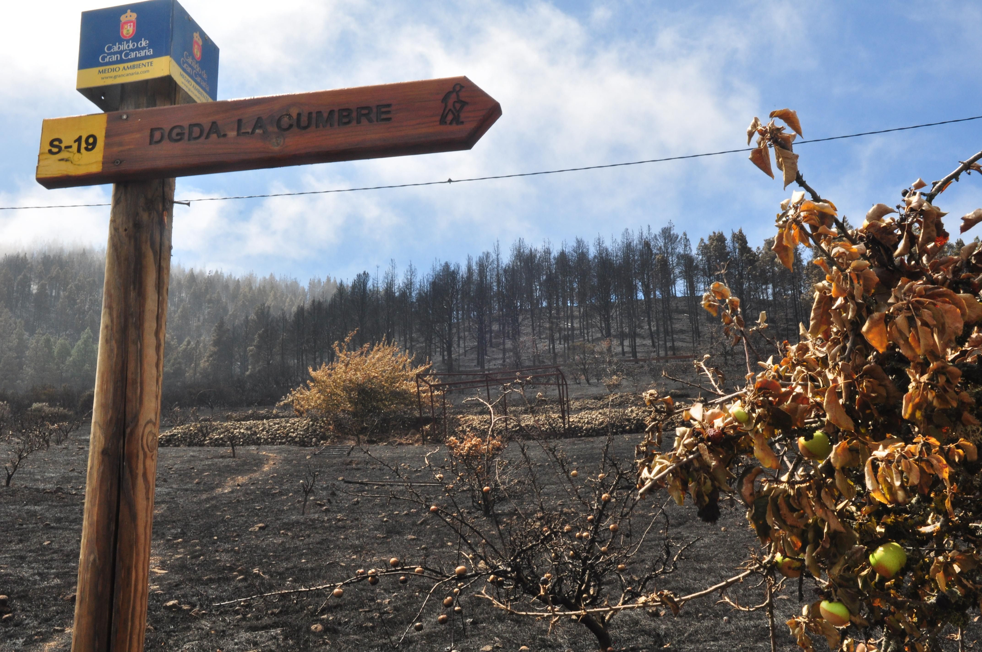 Paisaje de la cumbre de Gran Canaria este viernes