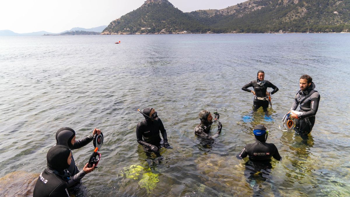 Grupo de voluntarios preparándose para recuento de Posidonia