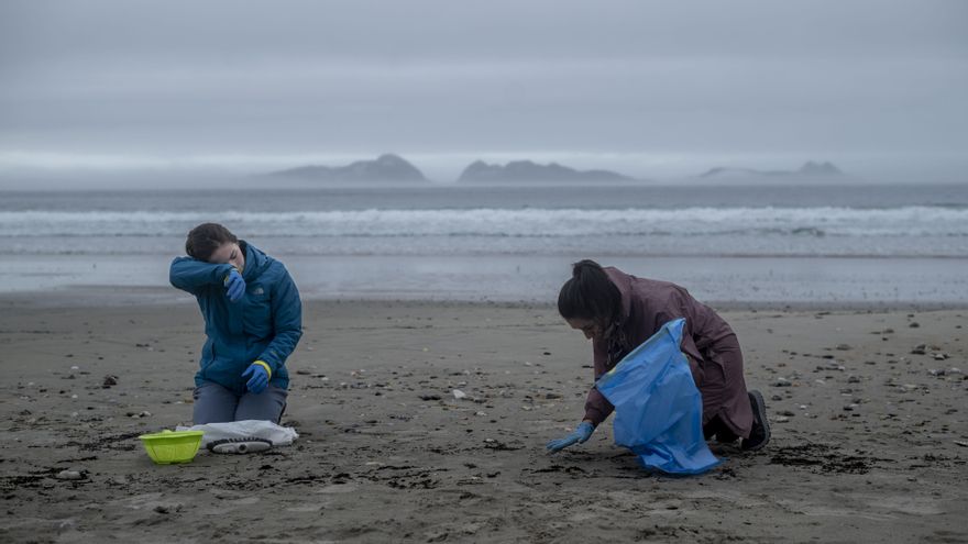 A mano o con coladores, escobas y aspiradoras: así es la retirada de pellets de plástico de las playas gallegas