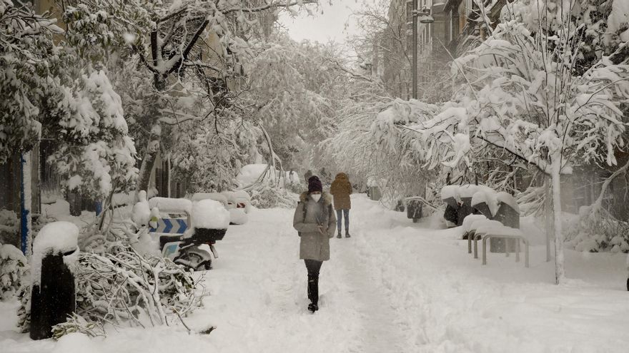 Vista de una calle de Madrid, este sábado, con árboles caídos tras el paso de la borrasca Filomena. EFE/Ballesteros