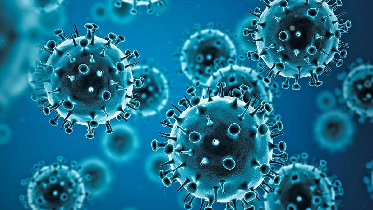 Científicas españolas descubren el mecanismo por el que una proteína favorece la propagación de la gripe