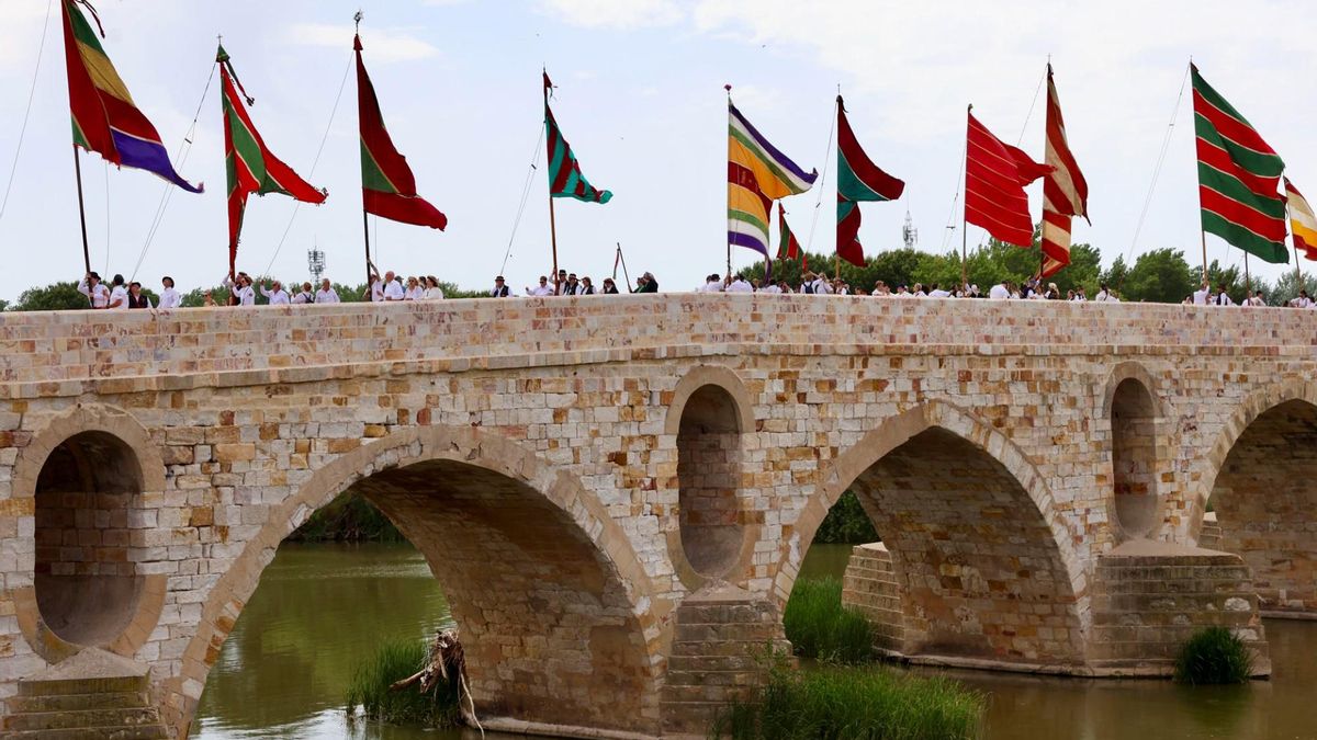 Sesenta pendones desfilan por el casco antiguo de Zamora ondeando el espíritu concejil del Reino de León