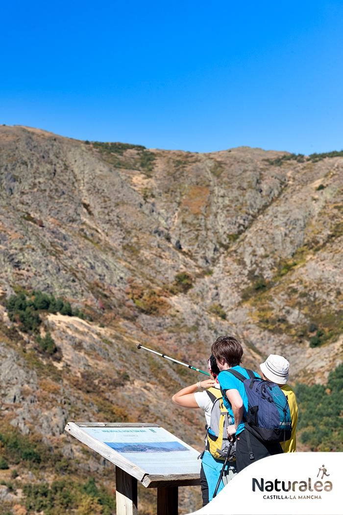 En el Hayedo de Tejera Negra (Guadalajara)