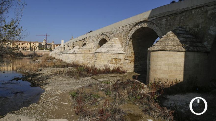 La peor sequía desde los años cincuenta arruina cosechas en toda la cuenca del Guadalquivir