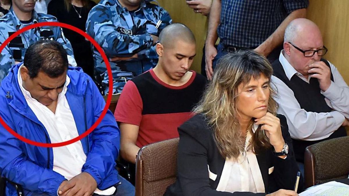 Círculo Rojo: Offidani.