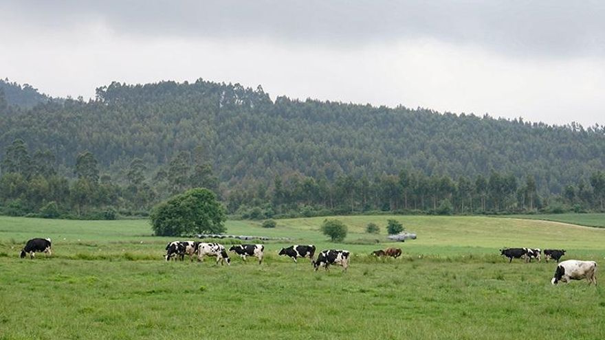 El Gobierno convoca las ayudas de la Solicitud Única para complementar la renta de agricultores y ganaderos
