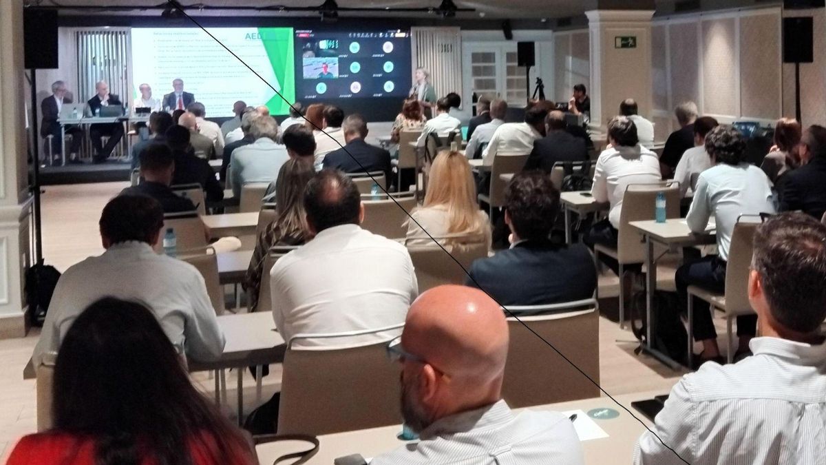 La nueva junta de Aedive pide claridad y agilidad en el Plan Auto+ para evitar el "efecto espera"