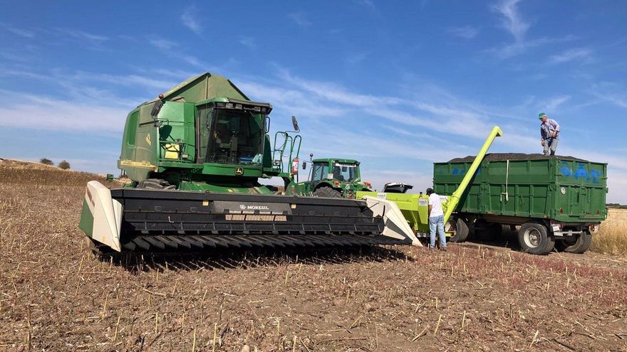 Agricultores de Guadalajara prevén "buena cosecha" de cereales y advierten de protestas si se limitan las cosechadoras