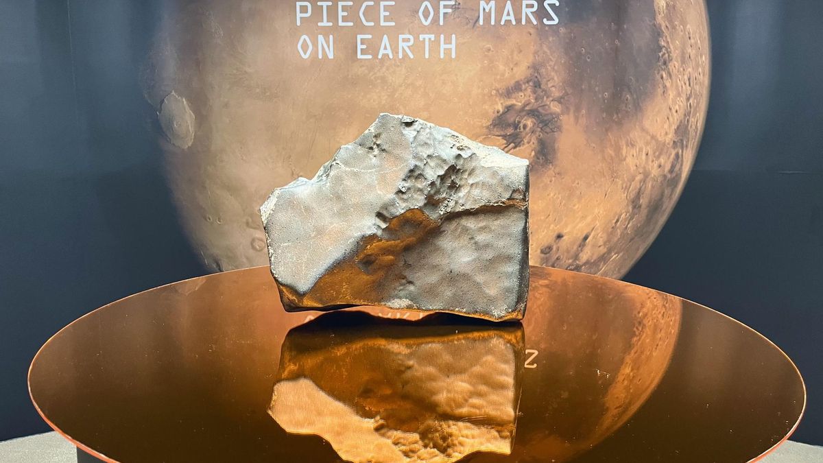 Sale a subasta el mayor fragmento de Marte encontrado hasta la fecha