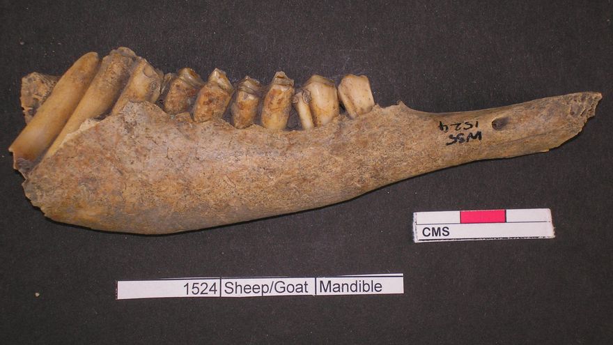 Los basureros que revelan unos festines “sin precedentes" en la Edad de Bronce en Gran Bretaña