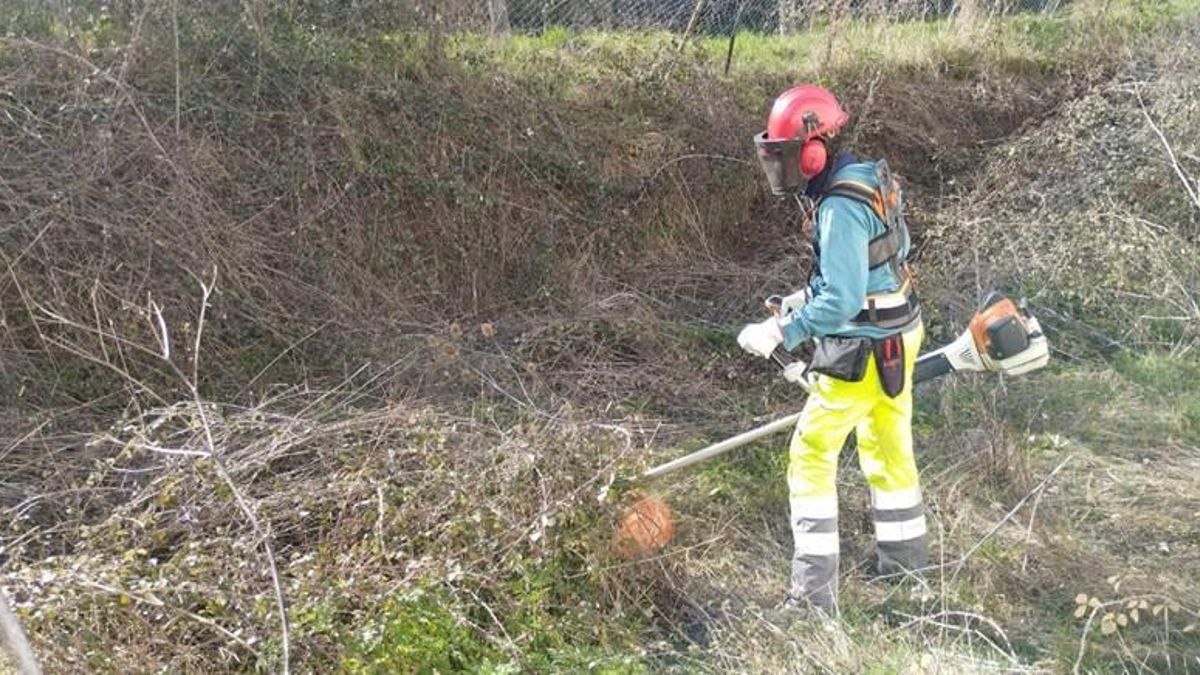 Abren inscripciones para un curso práctico en León sobre poda, desbroce y prevención de incendios