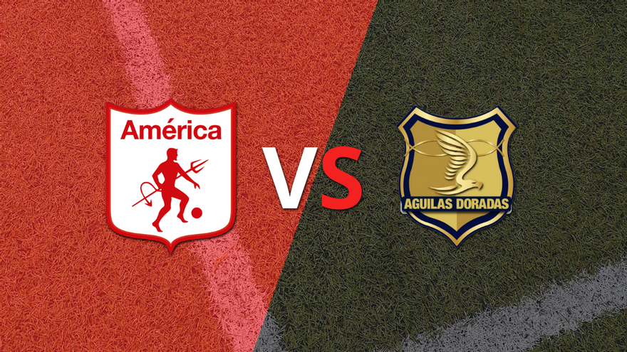 EN VIVO: