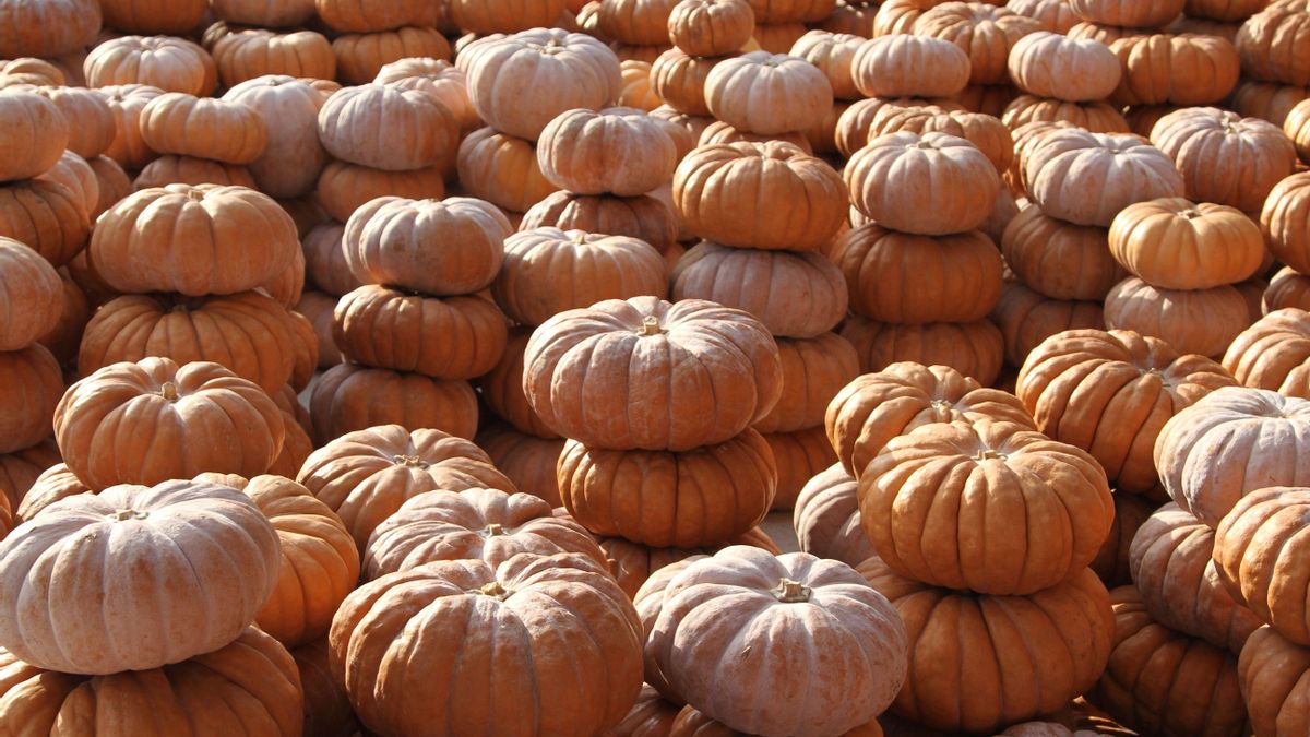 Calabazas