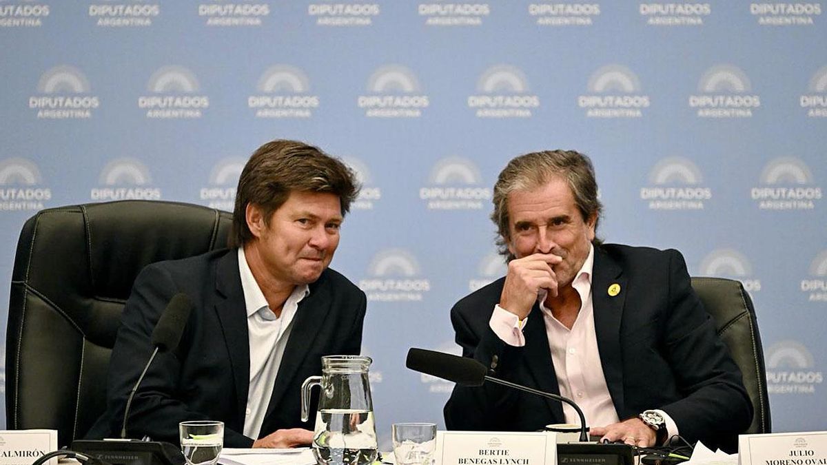 Lisandro Almirón y Bertie Benegas Lynch durante los debates de comisión en Diputados.