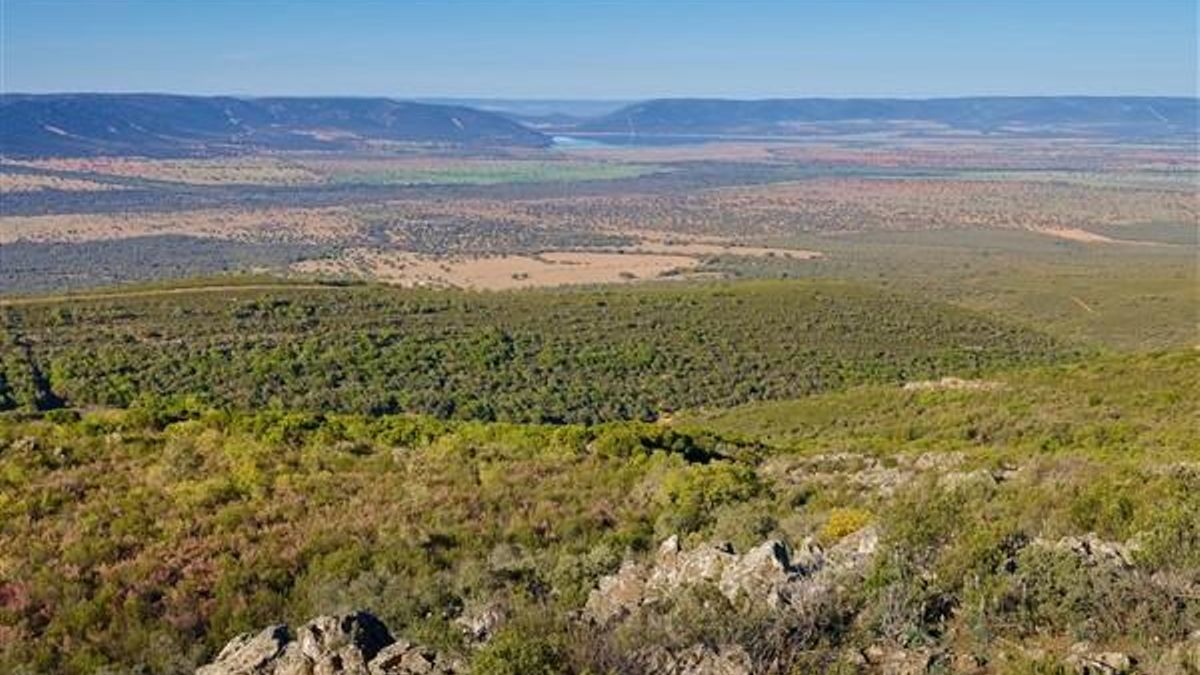 Por qué es "incompatible" un aeródromo para jets de lujo de cazadores junto a Cabañeros, según Ecologistas en Acción