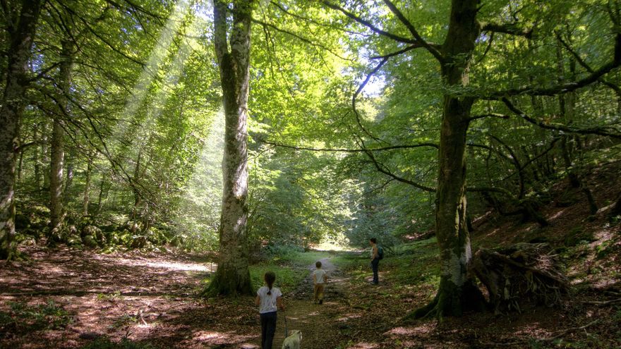 Rodeado de vestigios megalíticos y bosques milenarios: este pueblo navarro marca la entrada a la Selva de Irati