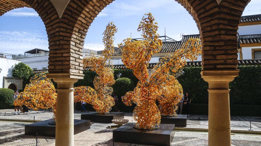 Flora abre sus patios de arte efímero ante un mundo cambiante