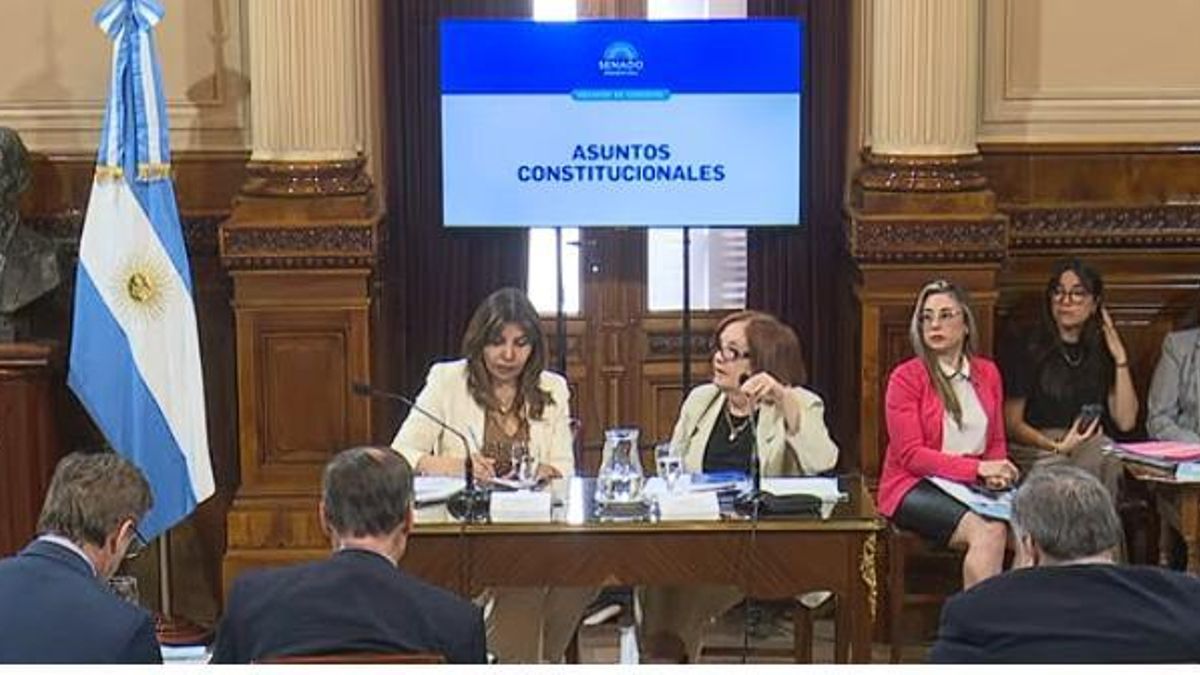 La Comisión de Asuntos Constitucionales del Senado se reunió para tratar los pliegos de los legisladores que deben asumir el 10 de diciembre.