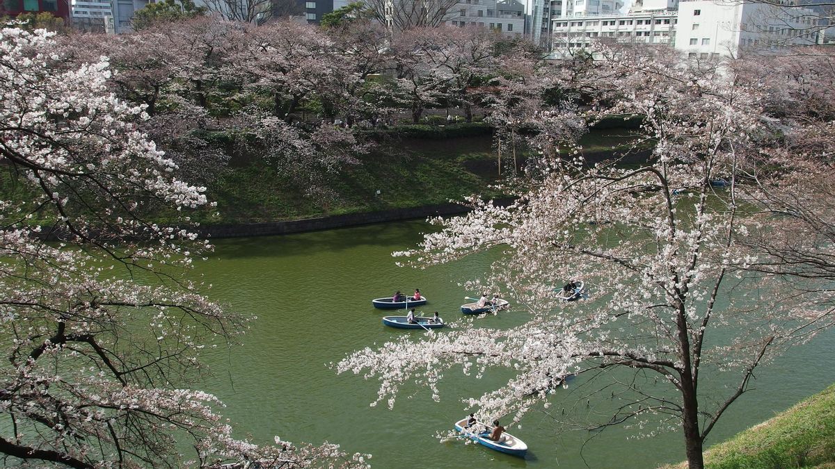 Jardines de Kitanomaru. La antigua residencia del clan Tokugawa es hoy un enorme parque al norte del Palacio Imperial de Tokio.