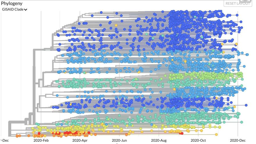 España ha encontrado varias mutaciones de la COVID-19, pero ni son más graves ni ponen en riesgo la vacuna