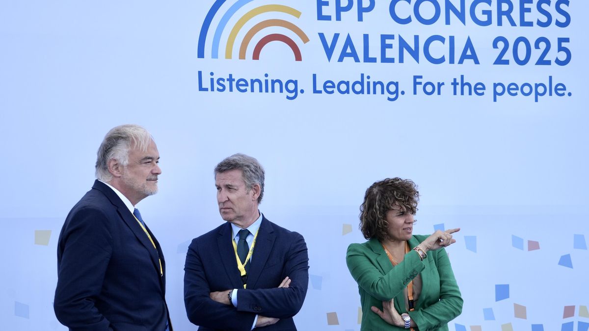 El PP de Catalunya admite que Feijóo ha maniobrado contra la oficialidad del catalán, gallego y euskera en la UE