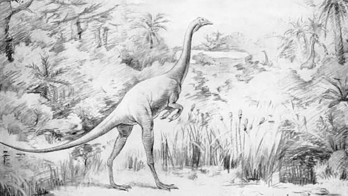 No está del todo claro qué dinosaurios fueron, pero hay algunas certezas que apuntan en dos direcciones