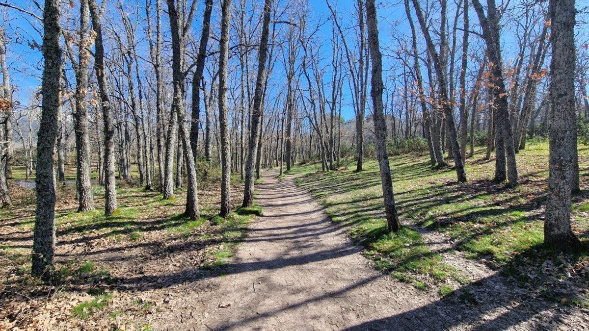 El itinerario discurre entre pinares de Valsaín y robledales de melojo de gran valor ecológico