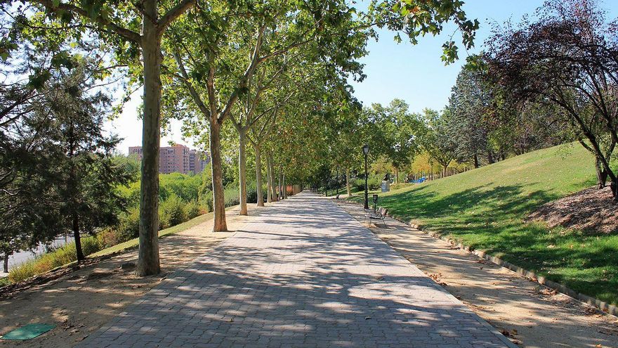 El proyecto que planificó un acuario con tiburones bajo el Barrio del Pilar con aparcamientos en un hospital