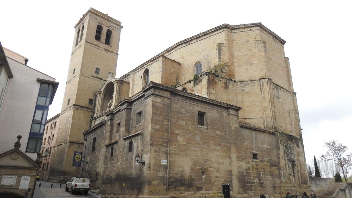 Colonia de Vencejo Real en la Iglesia de Santiago